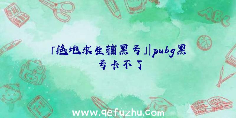 「绝地求生辅黑号」|pubg黑号卡不了